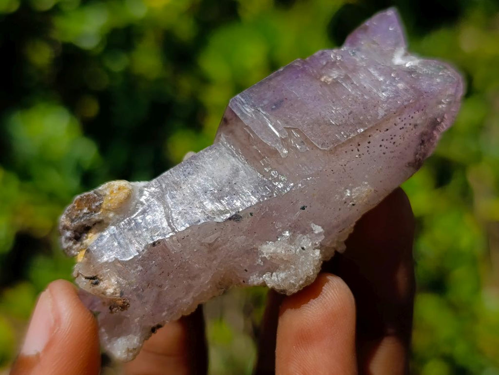 Natural Smokey Window Amethyst Crystals x 14 From Chiredzi, Zimbabwe
