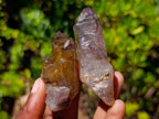 Natural Smokey Window Amethyst Crystals x 14 From Chiredzi, Zimbabwe