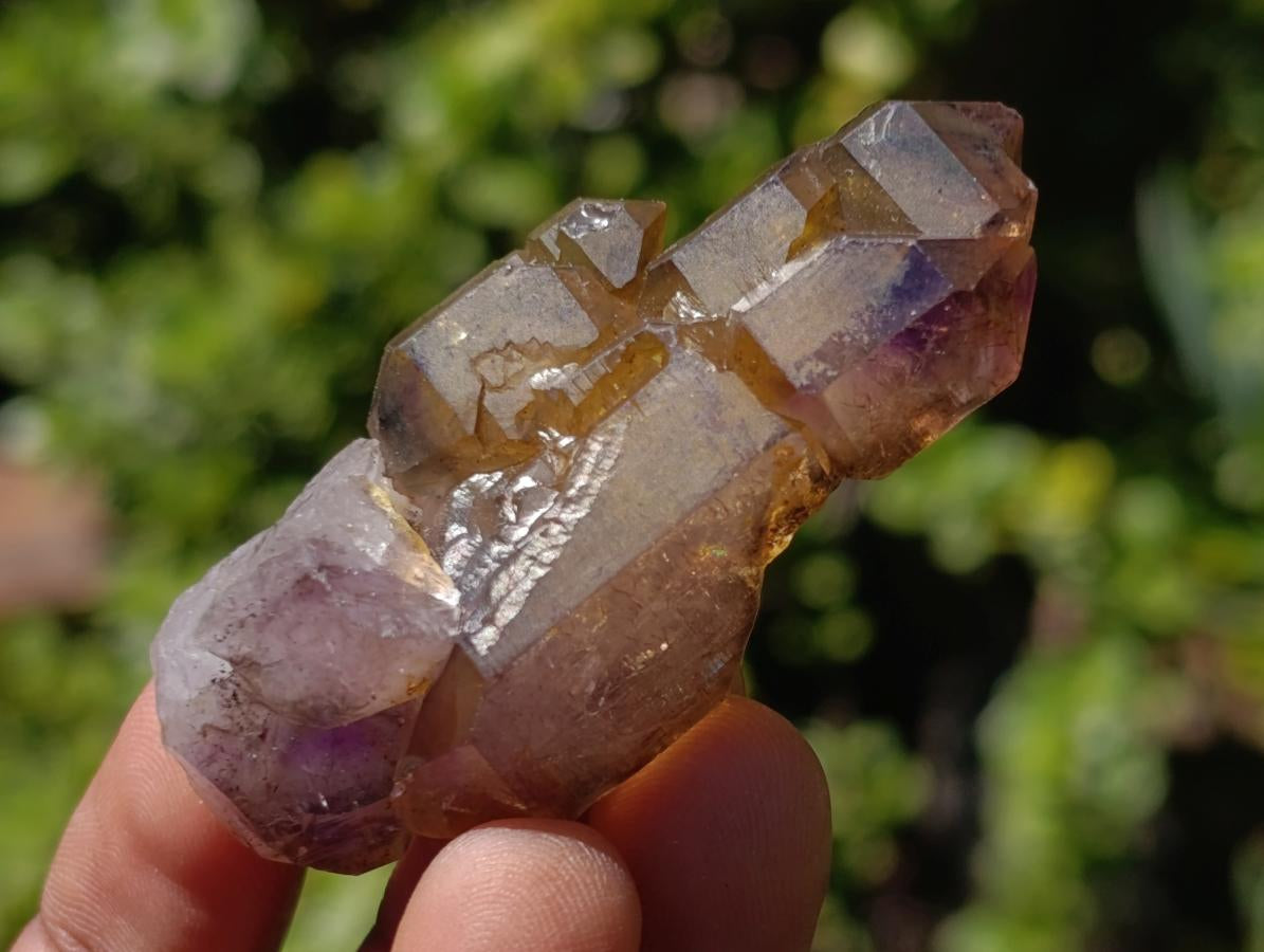 Natural Smokey Window Amethyst Crystals x 14 From Chiredzi, Zimbabwe