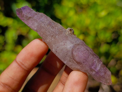 Natural Smokey Window Amethyst Crystals x 14 From Chiredzi, Zimbabwe