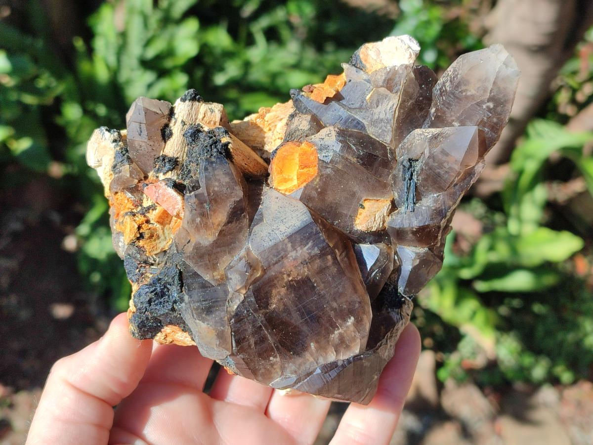 Natural Smokey Quartz Clusters with Schorl Black Tourmaline and Feldspar x 2 From Erongo, Namibia
