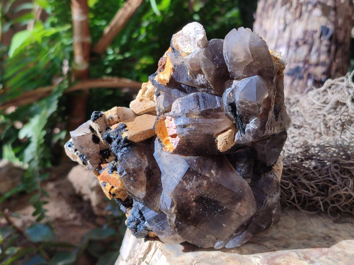 Natural Smokey Quartz Clusters with Schorl Black Tourmaline and Feldspar x 2 From Erongo, Namibia