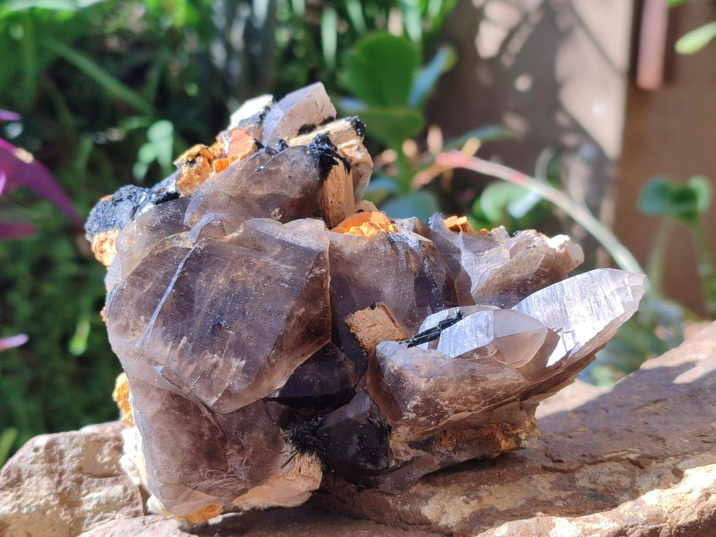 Natural Smokey Quartz Clusters with Schorl Black Tourmaline and Feldspar x 2 From Erongo, Namibia
