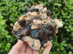 Natural Smokey Quartz Clusters with Schorl Black Tourmaline and Feldspar x 2 From Erongo, Namibia