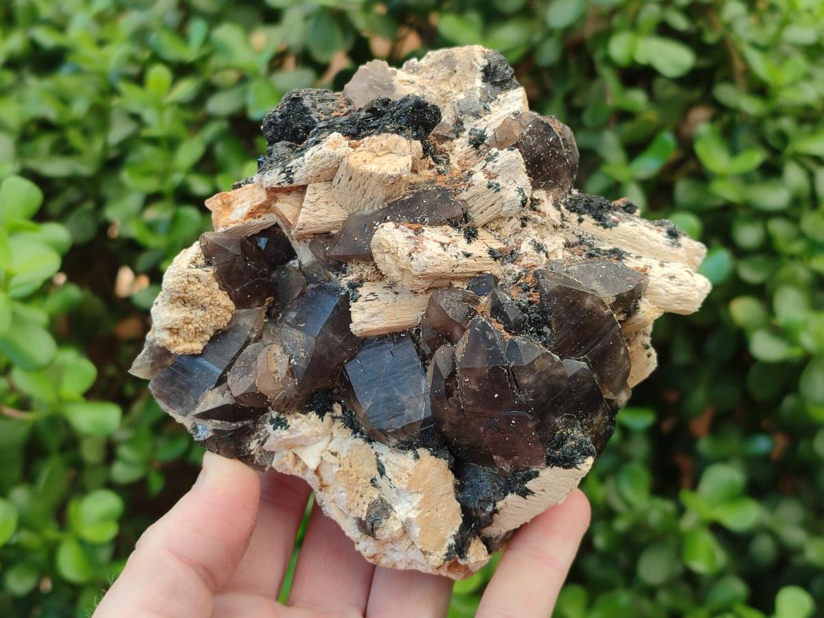 Natural Smokey Quartz Clusters with Schorl Black Tourmaline and Feldspar x 2 From Erongo, Namibia