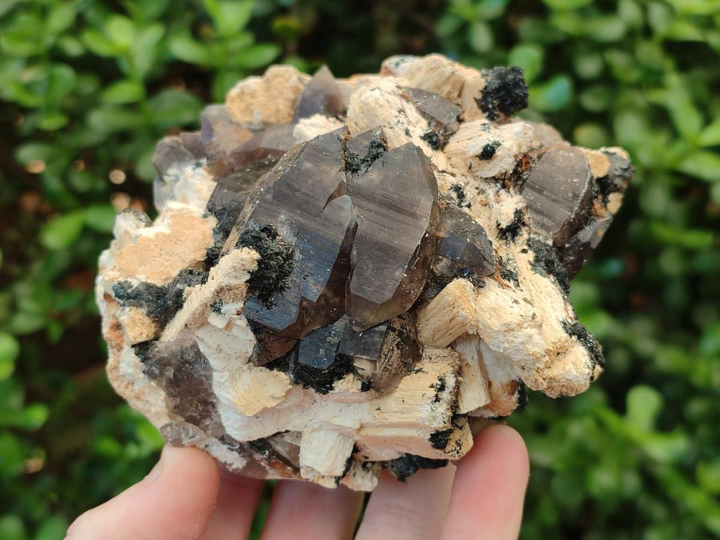 Natural Smokey Quartz Clusters with Schorl Black Tourmaline and Feldspar x 2 From Erongo, Namibia