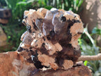Natural Smokey Quartz Clusters with Schorl Black Tourmaline and Feldspar x 2 From Erongo, Namibia