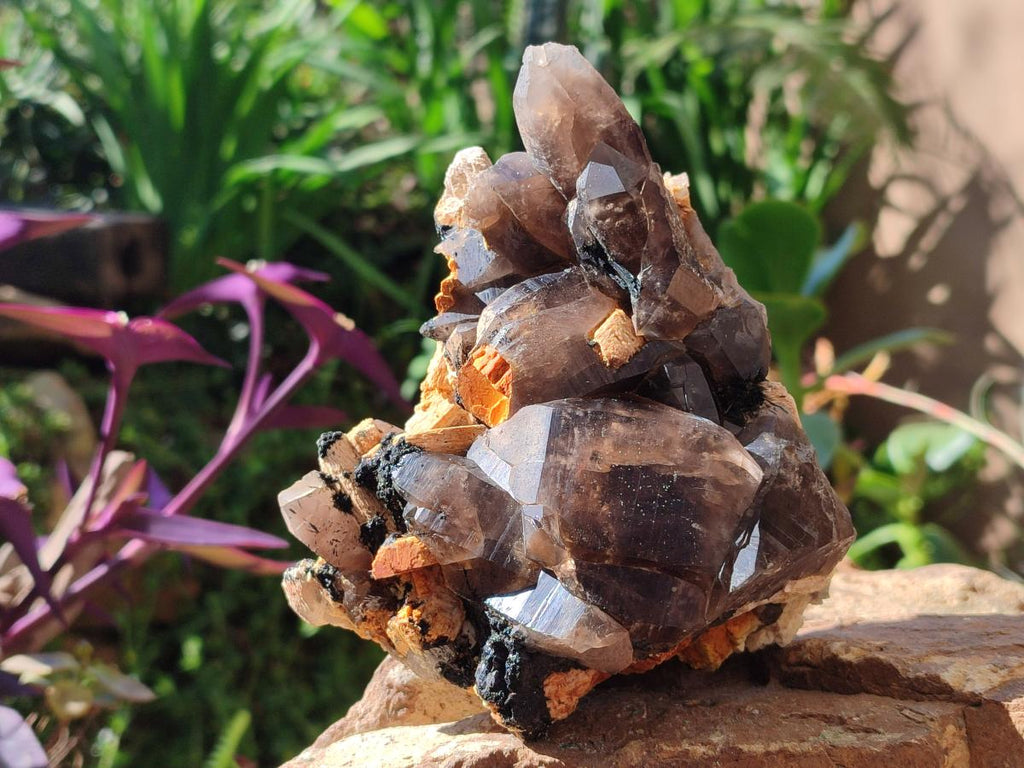 Natural Smokey Quartz Clusters with Schorl Black Tourmaline and Feldspar x 2 From Erongo, Namibia