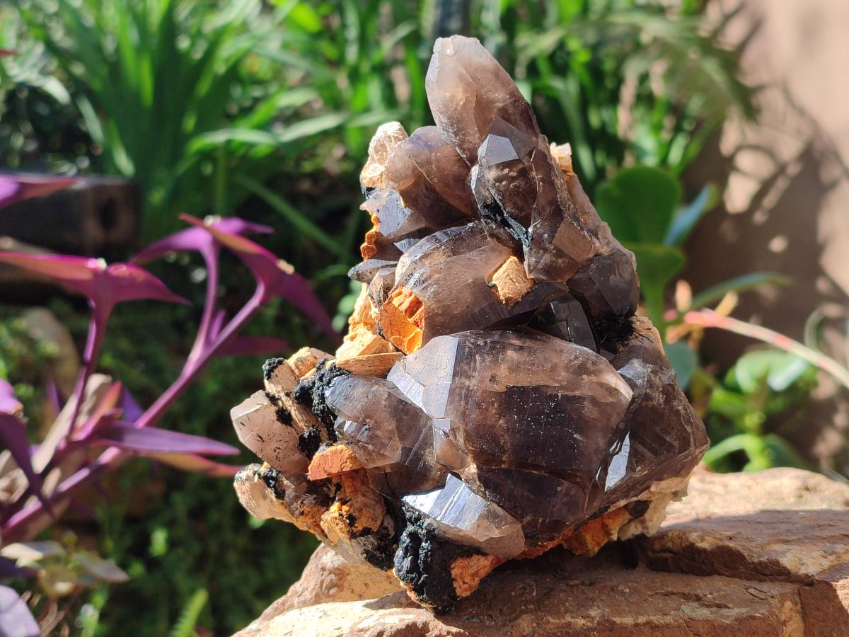 Natural Smokey Quartz Clusters with Schorl Black Tourmaline and Feldspar x 2 From Erongo, Namibia