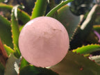 Polished Gemmy Rose Quartz Spheres x 4 From Madagascar