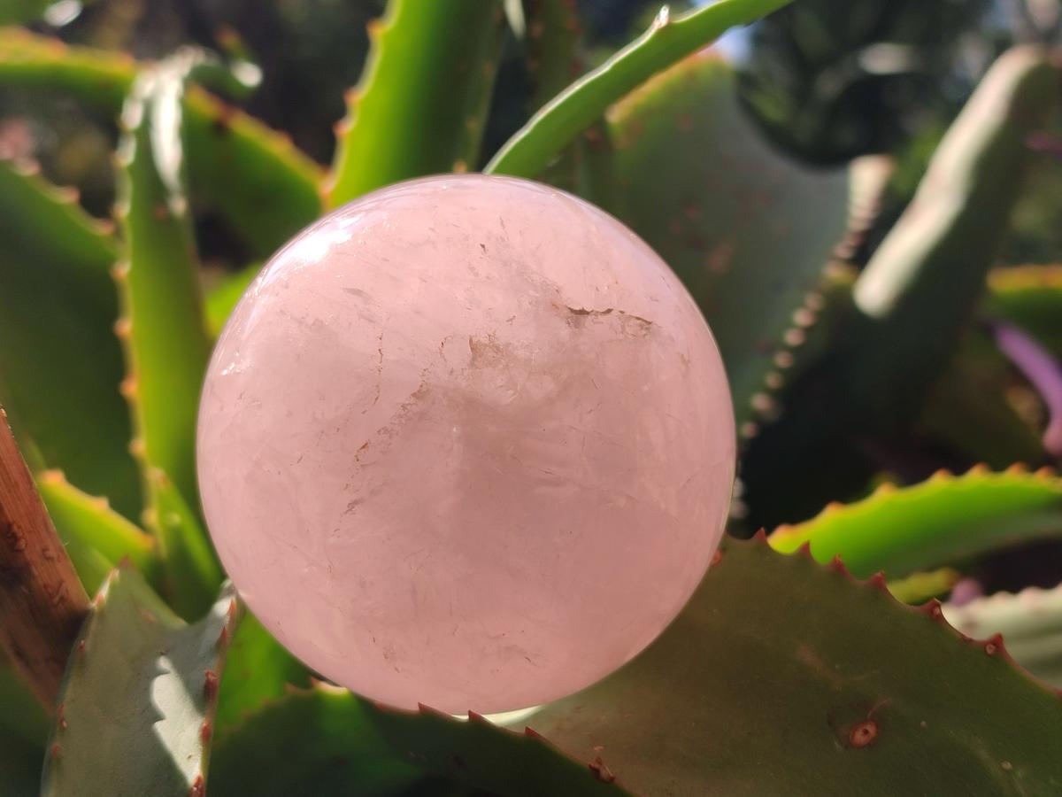 Polished Gemmy Rose Quartz Spheres x 4 From Madagascar