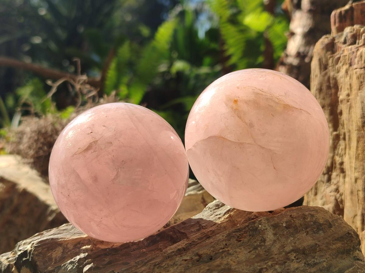 Polished Gemmy Rose Quartz Spheres x 4 From Madagascar
