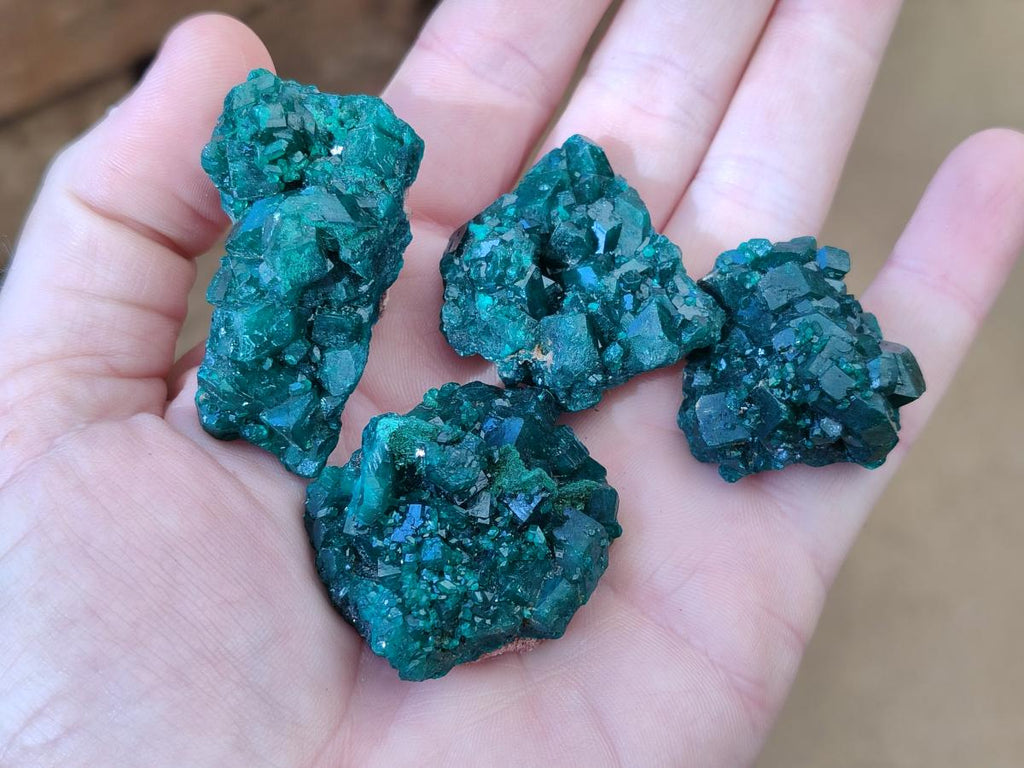Natural Dioptase Specimens on Dolomite Matrix x 12 From Tantara Mine, Congo