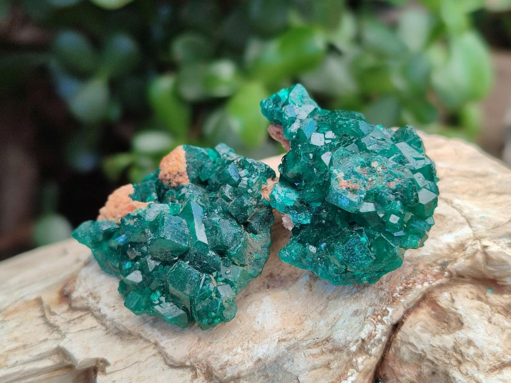 Natural Dioptase Specimens on Dolomite Matrix x 12 From Tantara Mine, Congo