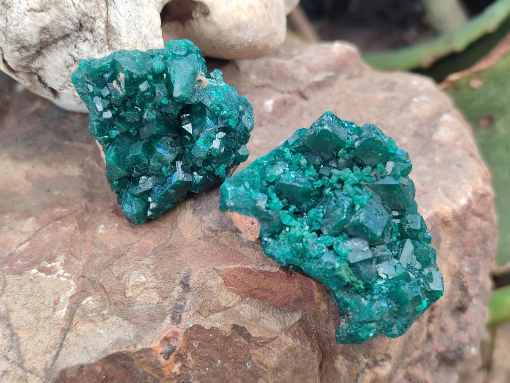 Natural Dioptase Specimens on Dolomite Matrix x 12 From Tantara Mine, Congo