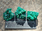 Natural Dioptase Specimens on Dolomite Matrix x 12 From Tantara Mine, Congo