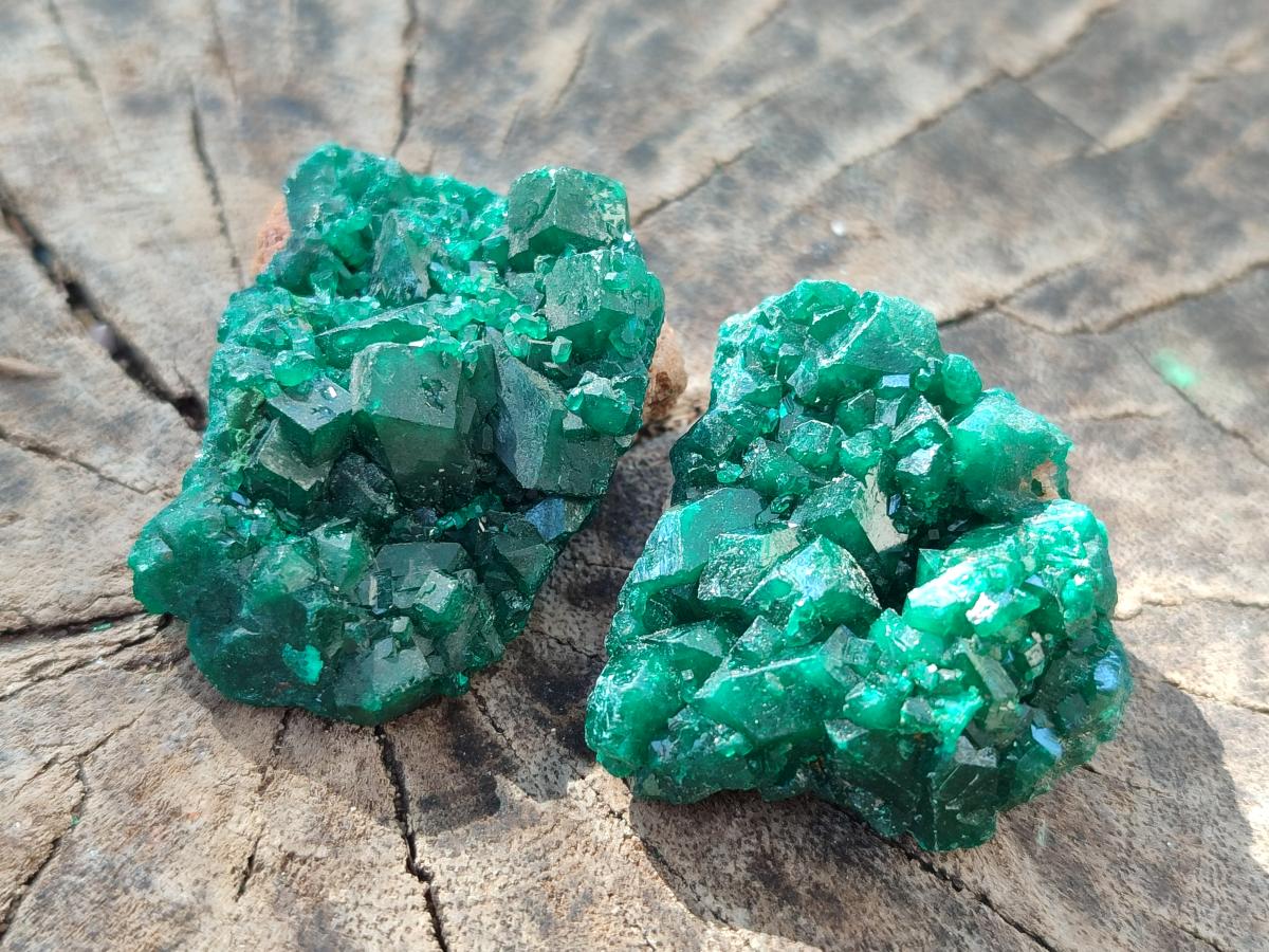 Natural Dioptase Specimens on Dolomite Matrix x 12 From Tantara Mine, Congo