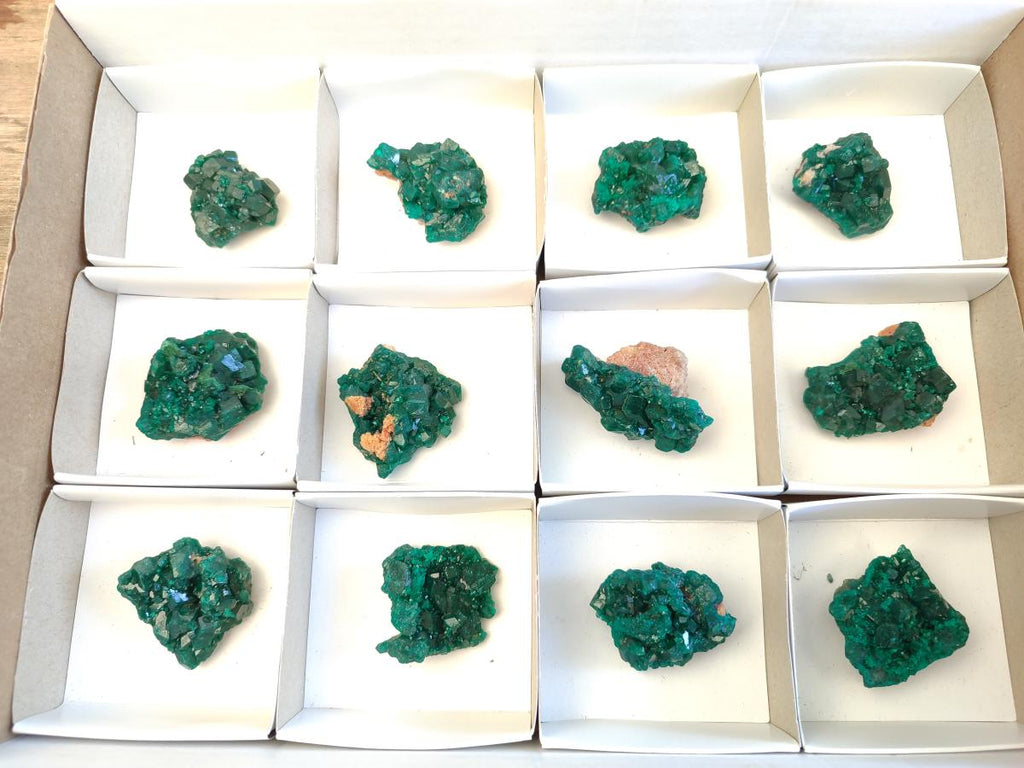 Natural Dioptase Specimens on Dolomite Matrix x 12 From Tantara Mine, Congo