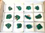 Natural Dioptase Specimens on Dolomite Matrix x 12 From Tantara Mine, Congo