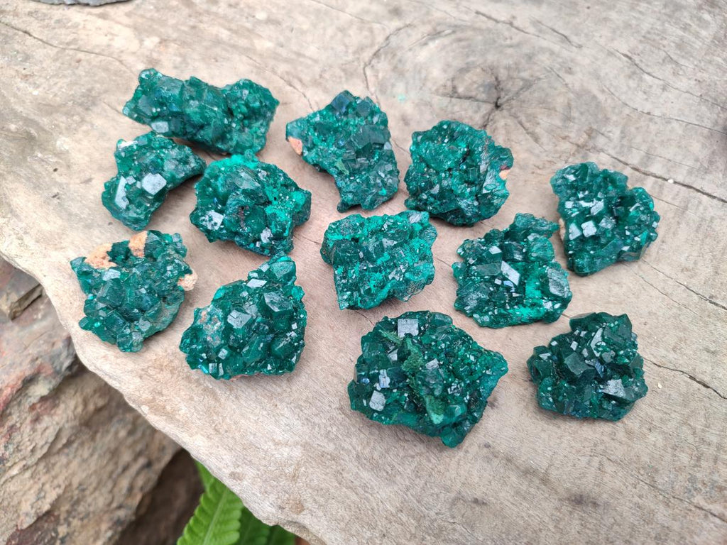 Natural Dioptase Specimens on Dolomite Matrix x 12 From Tantara Mine, Congo