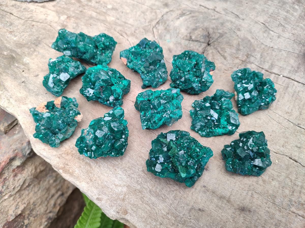Natural Dioptase Specimens on Dolomite Matrix x 12 From Tantara Mine, Congo