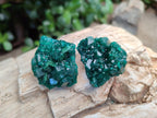 Natural Dioptase Specimens on Dolomite Matrix x 12 From Tantara Mine, Congo