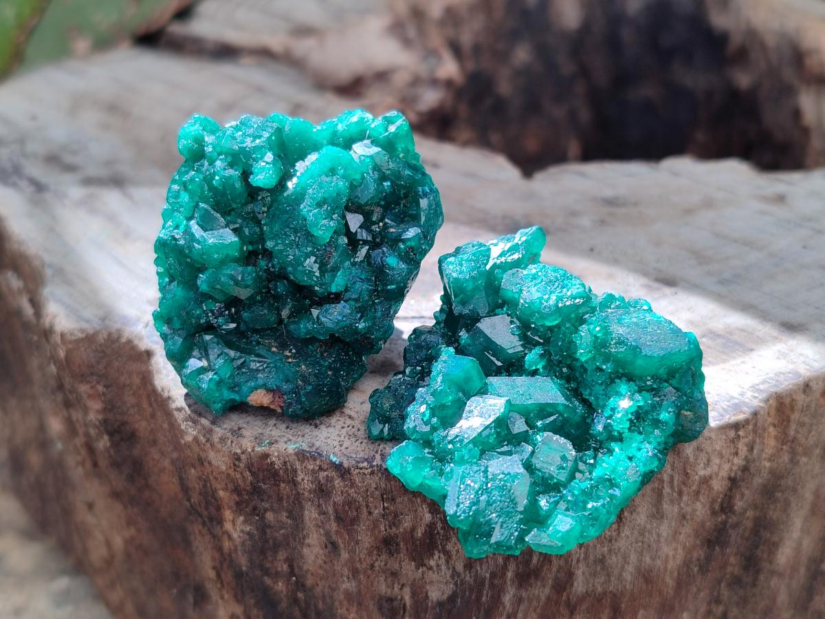 Natural Dioptase Specimens on Dolomite Matrix x 12 From Tantara Mine, Congo