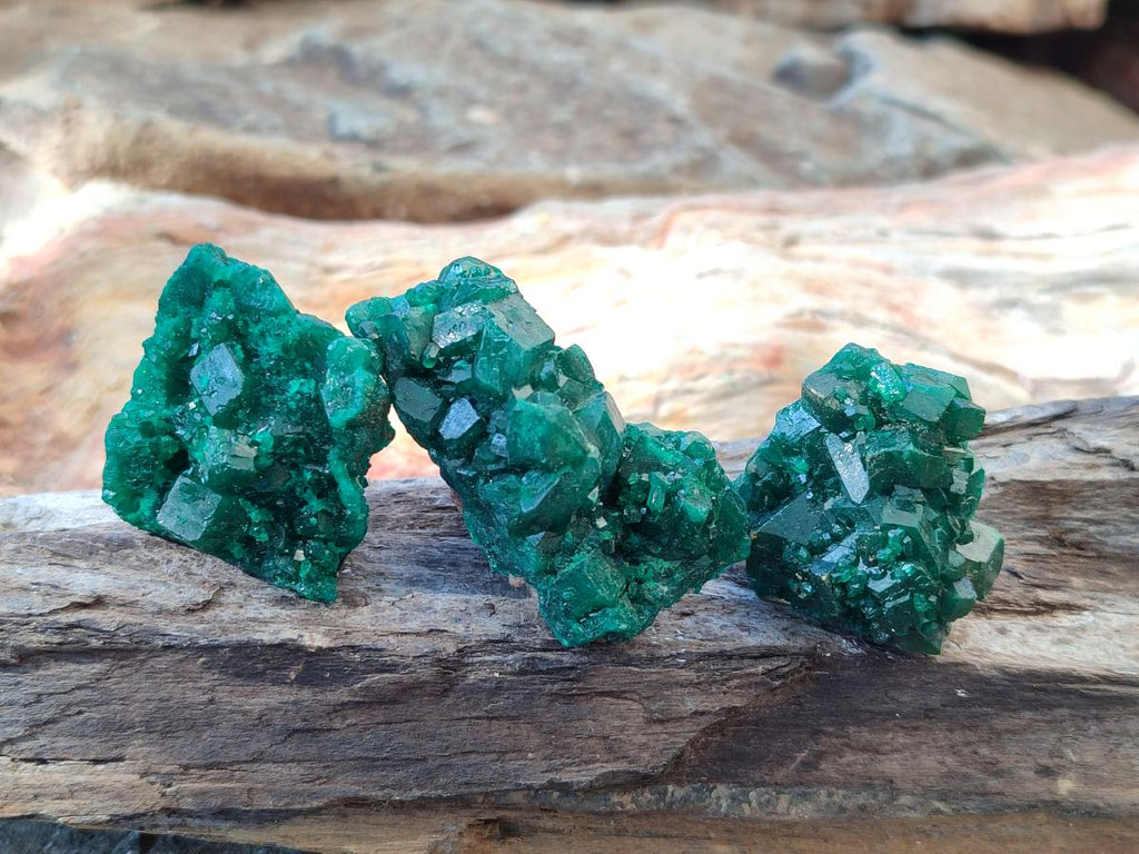 Natural Dioptase Specimens on Dolomite Matrix x 12 From Tantara Mine, Congo