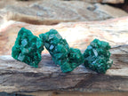 Natural Dioptase Specimens on Dolomite Matrix x 12 From Tantara Mine, Congo