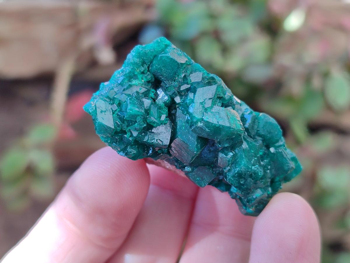 Natural Dioptase Specimens on Dolomite Matrix x 12 From Tantara Mine, Congo