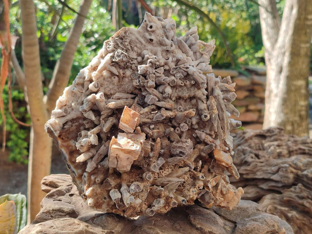 Natural Large Drusy Coated Calcite Spearhead Sceptre Cluster x 1 From Albert's Mountain, Lesotho
