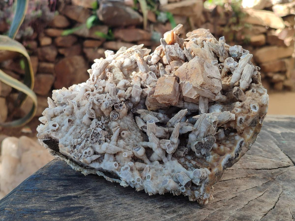 Natural Large Drusy Coated Calcite Spearhead Sceptre Cluster x 1 From Albert's Mountain, Lesotho