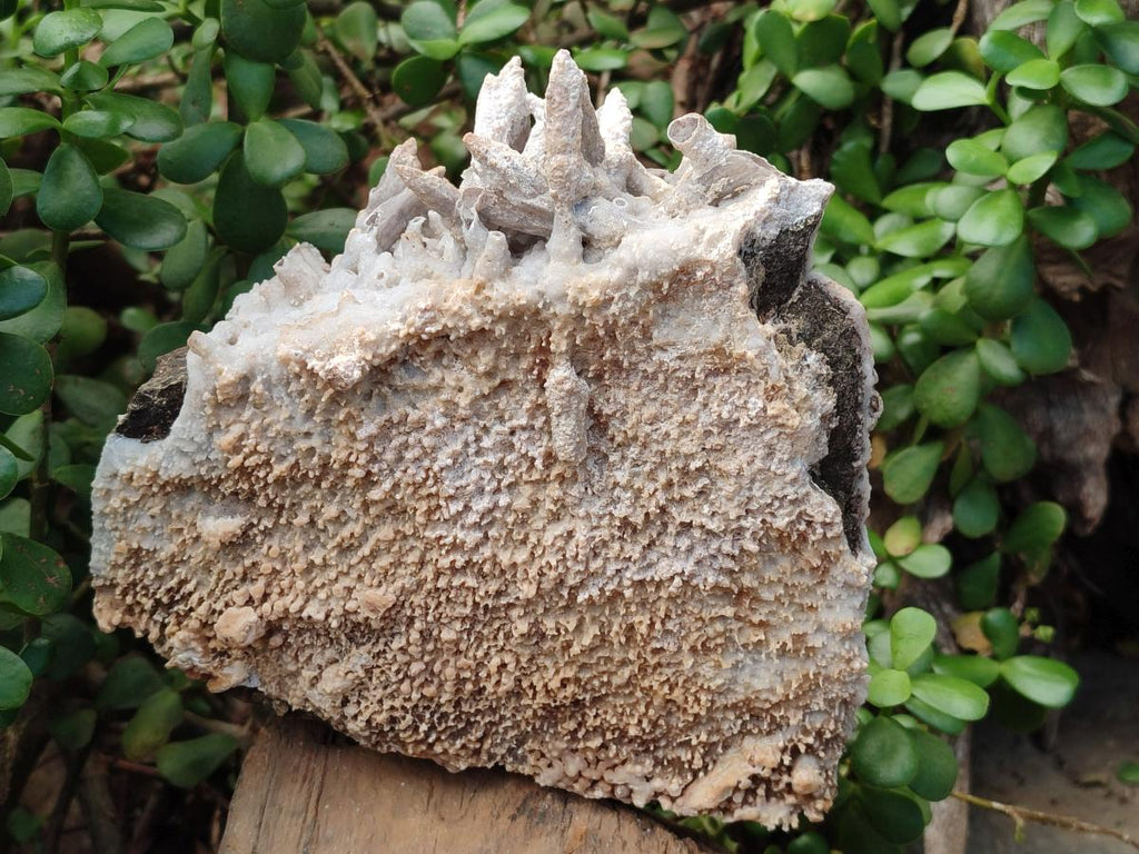 Natural Large Drusy Coated Calcite Spearhead Sceptre Cluster x 1 From Albert's Mountain, Lesotho