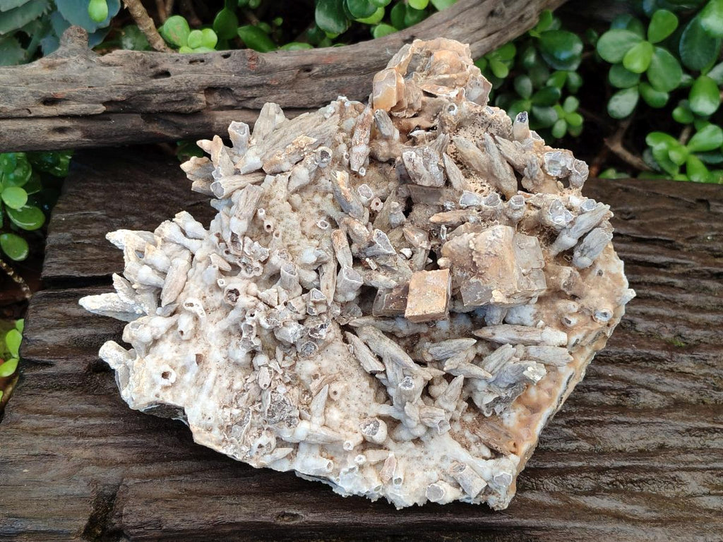 Natural Large Drusy Coated Calcite Spearhead Sceptre Cluster x 1 From Albert's Mountain, Lesotho