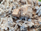 Natural Large Drusy Coated Calcite Spearhead Sceptre Cluster x 1 From Albert's Mountain, Lesotho