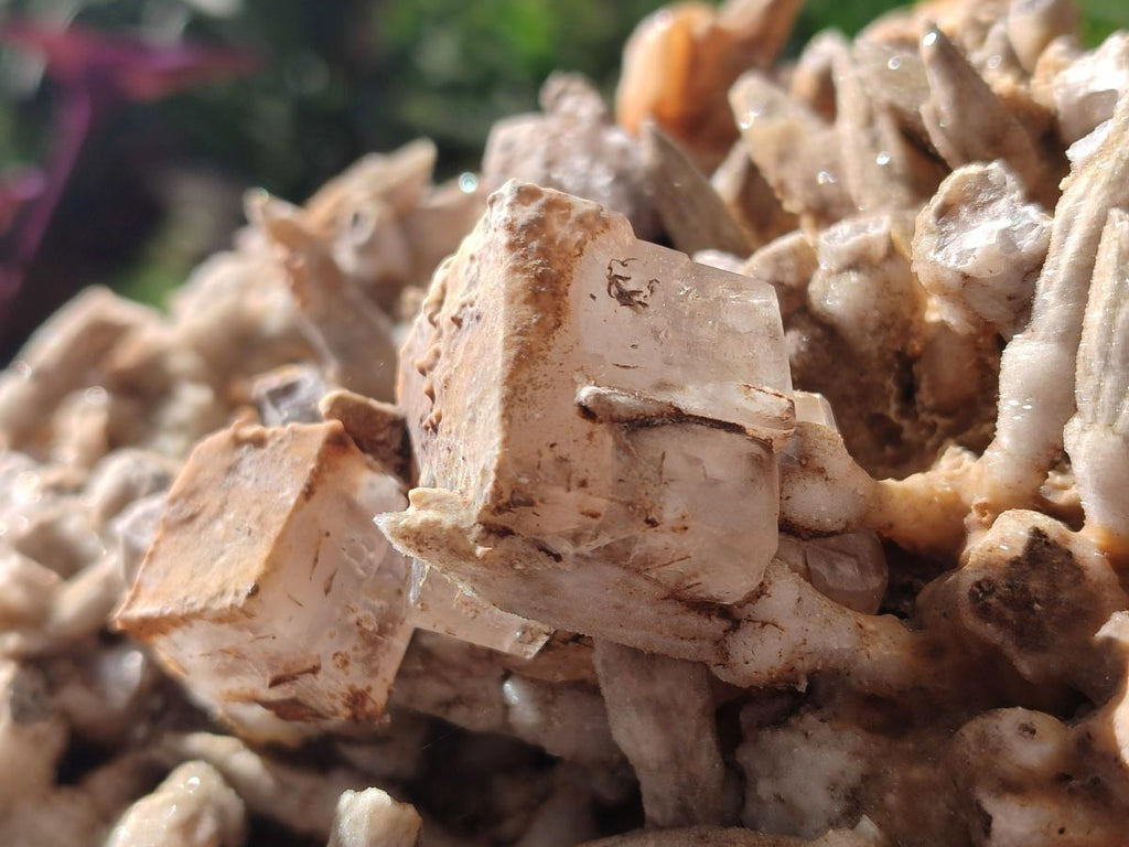 Natural Large Drusy Coated Calcite Spearhead Sceptre Cluster x 1 From Albert's Mountain, Lesotho