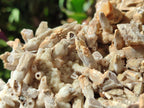 Natural Large Drusy Coated Calcite Spearhead Sceptre Cluster x 1 From Albert's Mountain, Lesotho