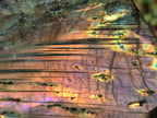 Polished Rare Purple Sunset Flash Labradorite Standing Display Pieces x 2 From Madagascar