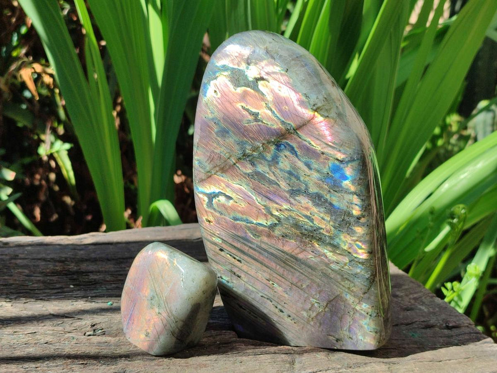 Polished Rare Purple Sunset Flash Labradorite Standing Display Pieces x 2 From Madagascar