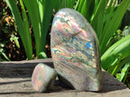 Polished Rare Purple Sunset Flash Labradorite Standing Display Pieces x 2 From Madagascar
