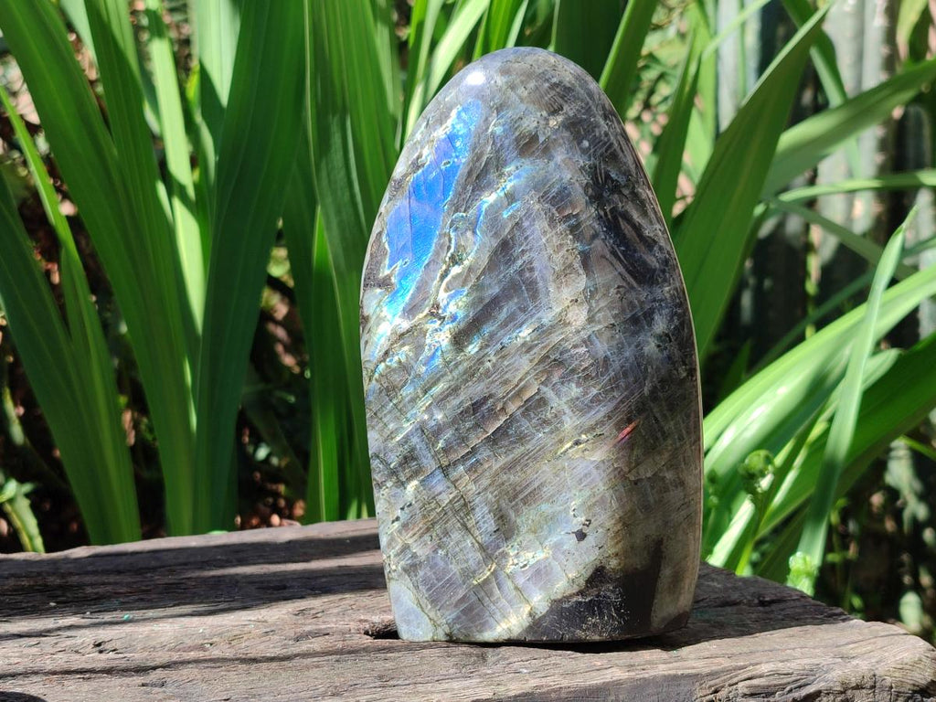 Polished Rare Purple Sunset Flash Labradorite Standing Display Pieces x 2 From Madagascar