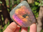 Polished Rare Purple Sunset Flash Labradorite Standing Display Pieces x 2 From Madagascar