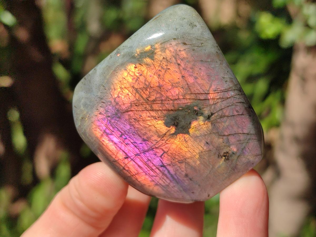 Polished Rare Purple Sunset Flash Labradorite Standing Display Pieces x 2 From Madagascar