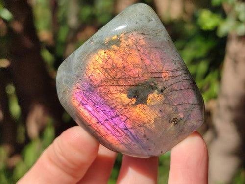 Polished Rare Purple Sunset Flash Labradorite Standing Display Pieces x 2 From Madagascar