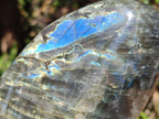 Polished Rare Purple Sunset Flash Labradorite Standing Display Pieces x 2 From Madagascar