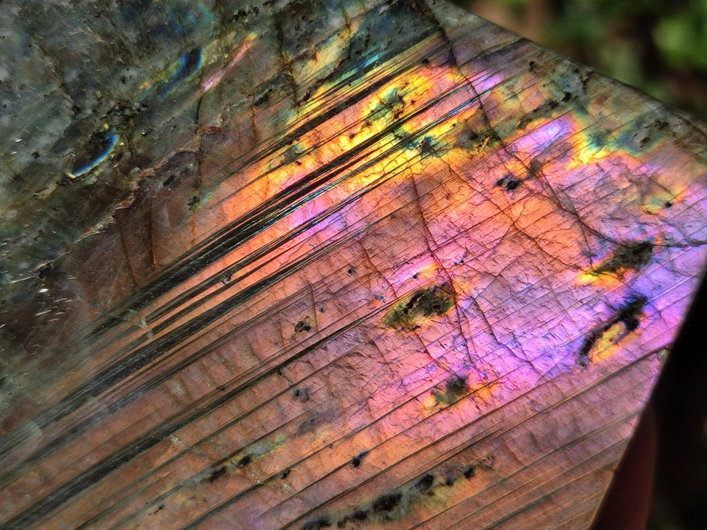 Polished Rare Purple Sunset Flash Labradorite Standing Display Pieces x 2 From Madagascar