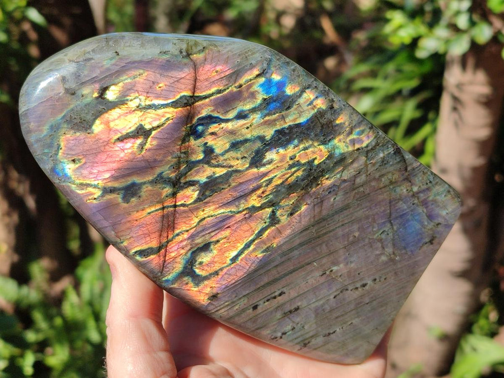 Polished Rare Purple Sunset Flash Labradorite Standing Display Pieces x 2 From Madagascar