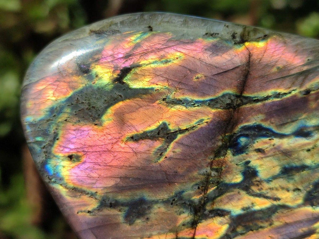 Polished Rare Purple Sunset Flash Labradorite Standing Display Pieces x 2 From Madagascar