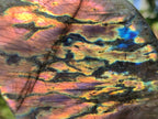 Polished Rare Purple Sunset Flash Labradorite Standing Display Pieces x 2 From Madagascar