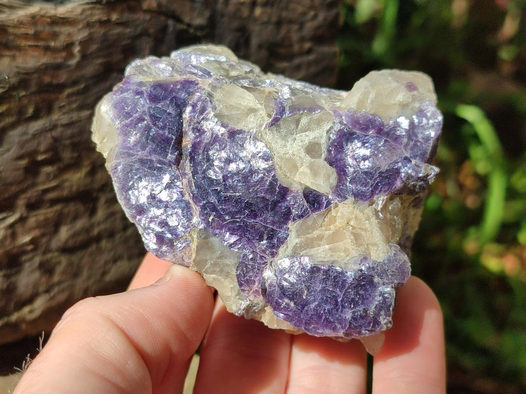 Polished One Side Silver Leaf Lepidolite Slices x 6 From Zimbabwe
